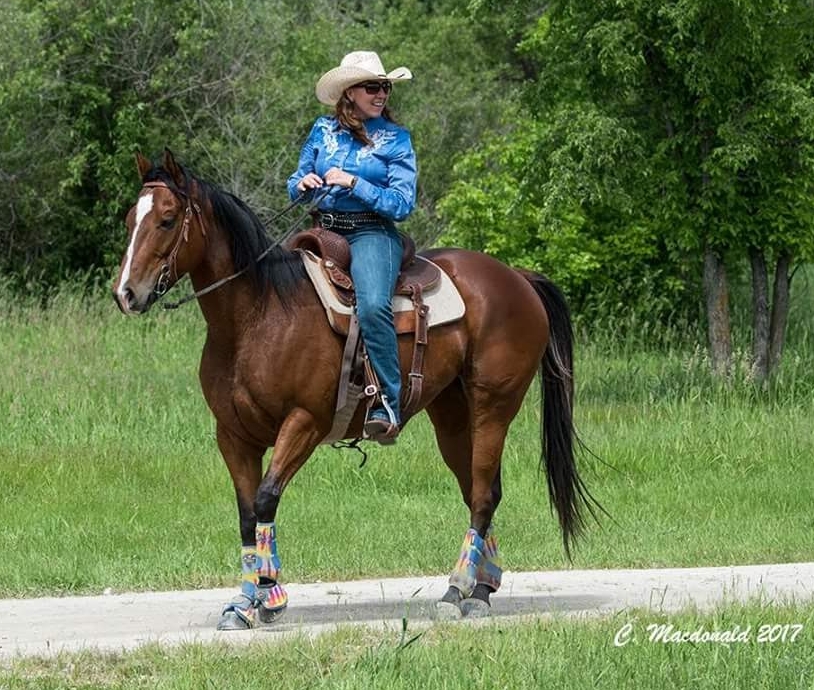 Stallion Strides Pants